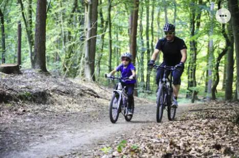 Park Konijnenburg Villa Putten Ngoại thất bức ảnh
