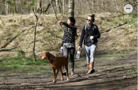 Park Konijnenburg Villa Putten Ngoại thất bức ảnh